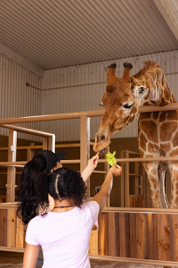 New Braunfels, Texas